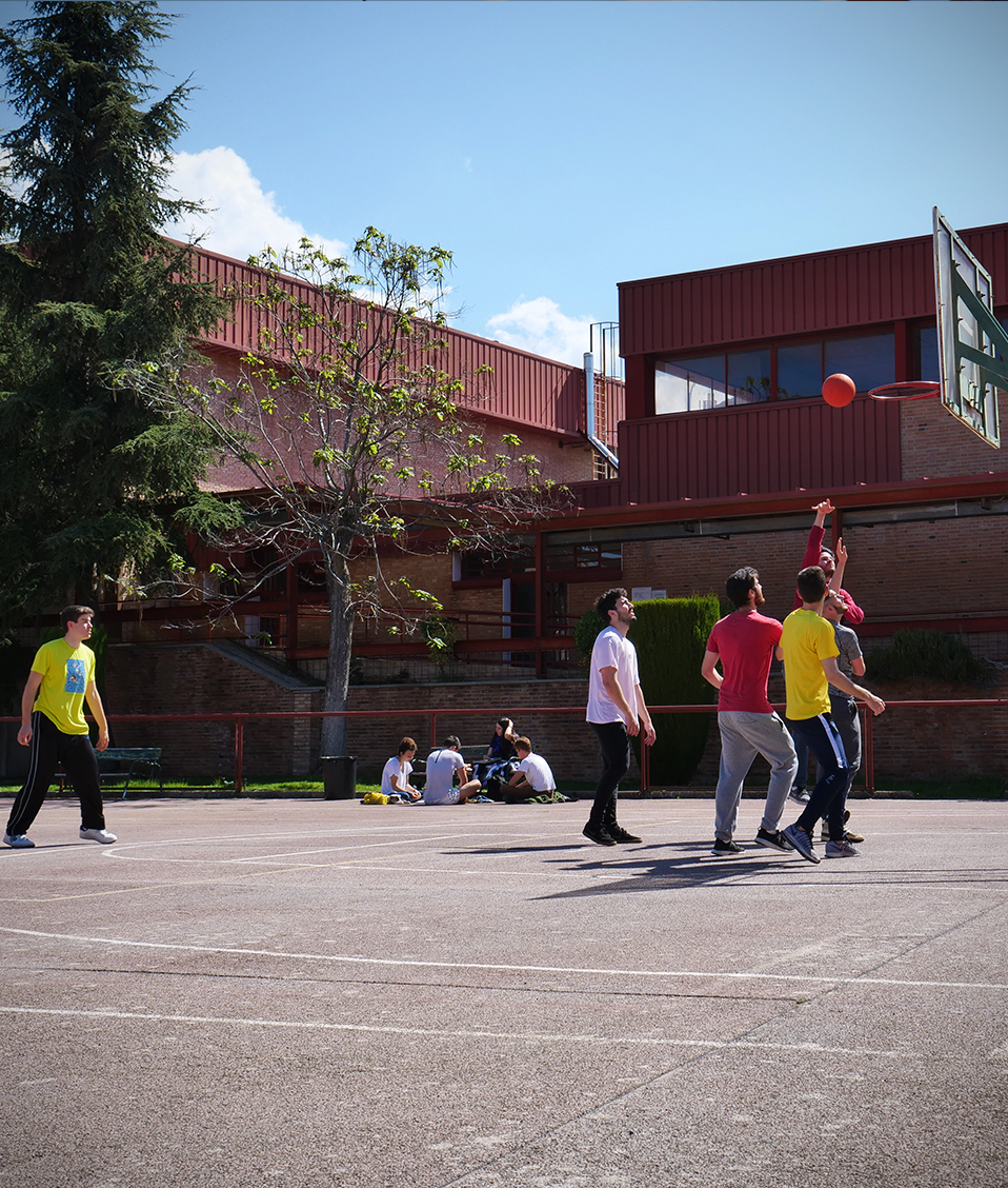 Estudiantes de la Facultad de Ciencias del Deporte en una práctica de baloncesto. Uno de los jugadores logra lanzar a canasta.